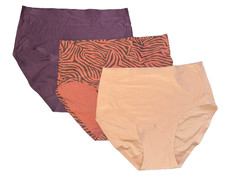 NEW  60 CHANTELLE INTIMATES SOFT STRETCH HIPSTER PANTIES 3 PAIRS OS