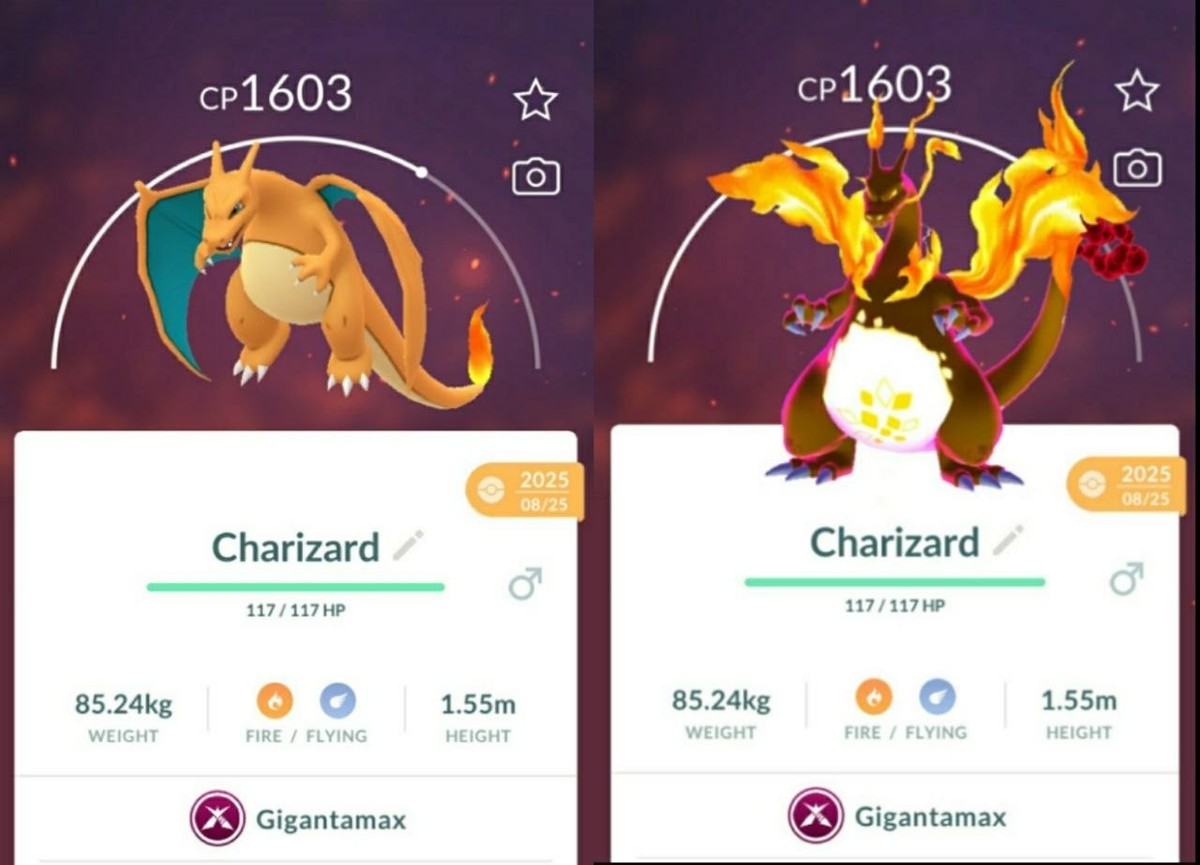 Pokemon Gigantamax Go - Charizard | Registered Trade | eBay
