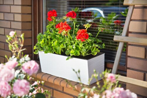 Tall Trough Planter Flower Pot with Insert 2 Sizes Indoor Outdoor Garden Patio - Picture 19 of 44