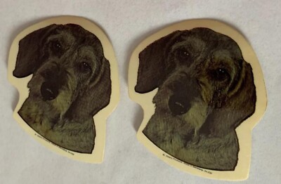 2 x Hunde Aufkleber Sticker Hundeaufkleber Dackel Teckel ca. 6 x 6 cm