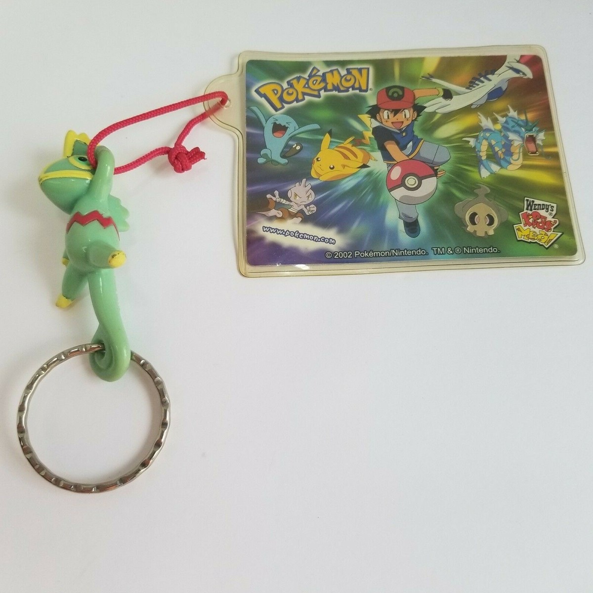 ナッシー様)ギムノカリキウム　エリナセウムとシッケンダンツィーフルセット+おまけ ナッシー様)ギムノカリキウム エリナセウムとシッケンダンツィーフル