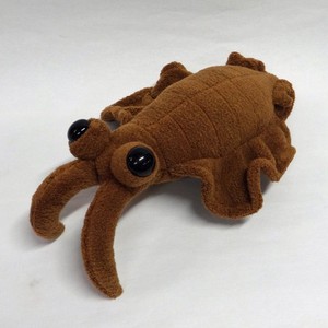 anomalocaris plush