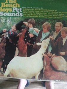 Pet Sounds Mono | eBay