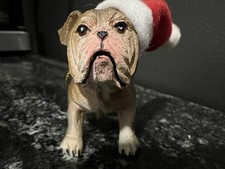 The American Canine Association Collector's Series English Bulldog Tree Ornament