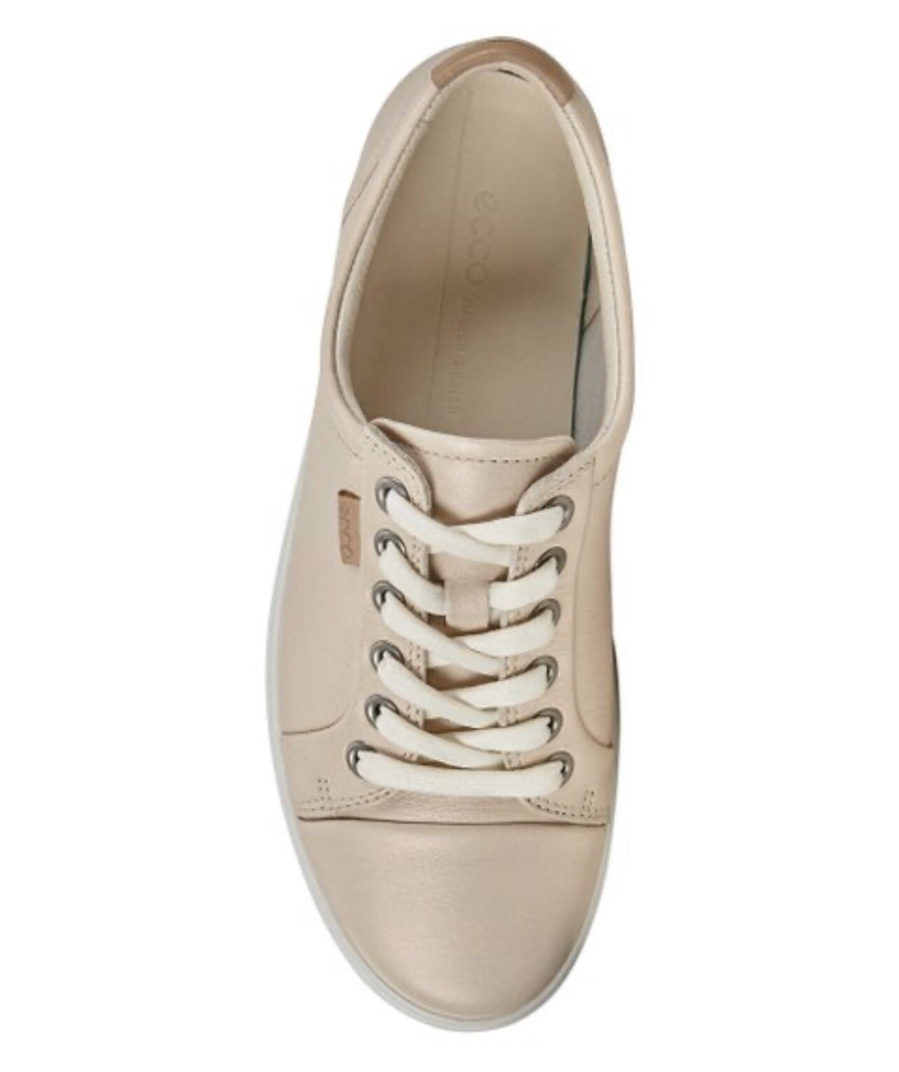 ecco vanilla metallic