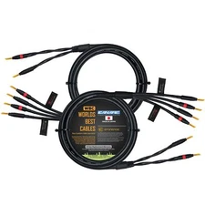 Worlds Cables 5 Foot Canare 4s11 “ Audiophile Grade Hifi Starquad Biwire Speaker