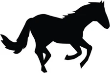 Horse Silhouette Indoor Removable Black Vinyl laptop Walls Doors Mirrors Tablet