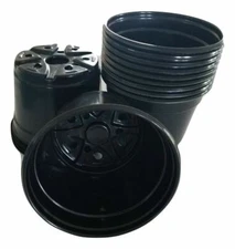 Case of 200 - TRADE GALLON {Holds .66 gallon} Nursery flower Pots {6.5" x 6.5"}