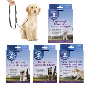 recall dog lead