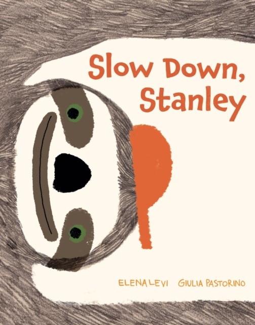 Slow Down, Stanley by Elena Levi (Hardback Book)