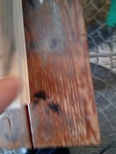 G. di San Lazzaro Paul Klee Vita e opere di Paul Klee