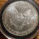 2001 U.S. Mint Silver Eagle Bullion One Dollar 1 oz .999 Silver Coin in Capsule