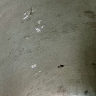 Picture 6 of 7