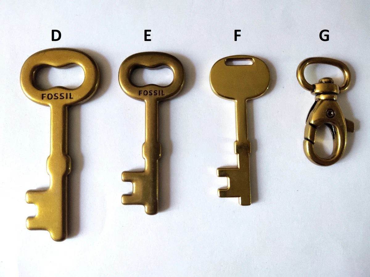 Fossil key best sale charm