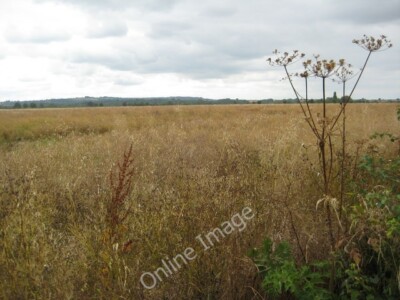 Foto 6x4 reifer Ölsaat Raps Broad Marston Field of oil seed rape slmost c2010