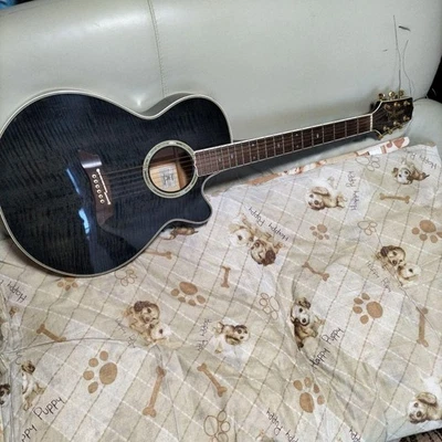 Takamine ACCUR EQ Acoustic Guitar with Case | eBay