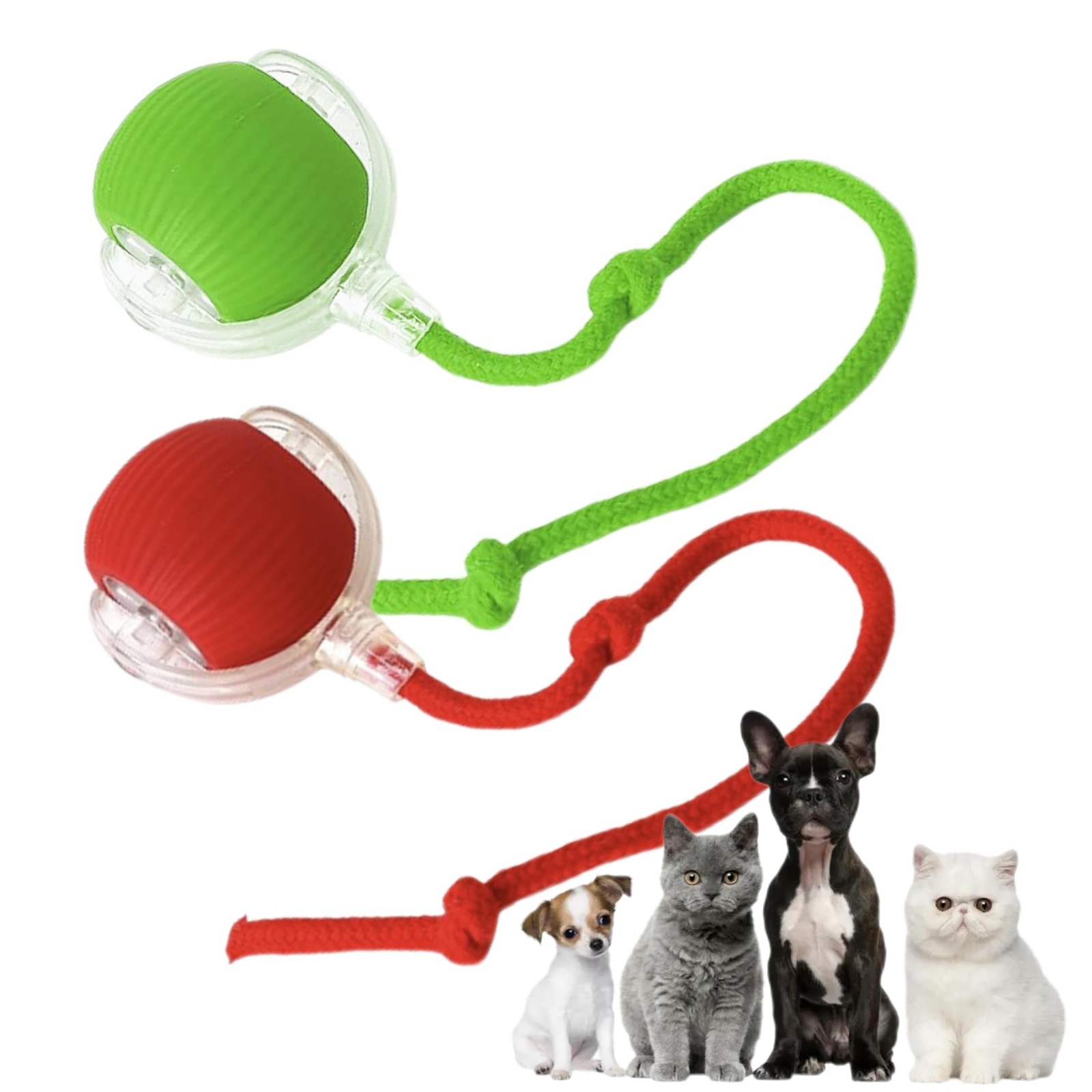 For Indoor Cats,chewie Viral Dog ,...