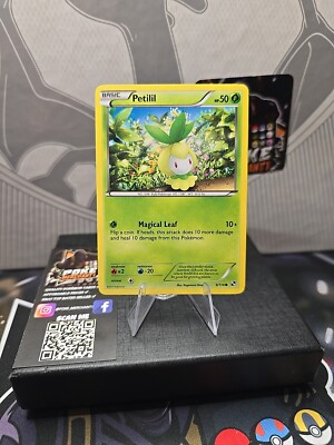 Pokémon TCG Petilil Black & White 9/114 Regular Common