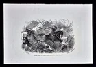 1865 Civil War Print Charge of Fremont's Body Guard Zagonyi Springfield Missouri