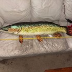 Picture 1 of 3