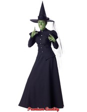 Wretched Witch Adult Costume, Medium