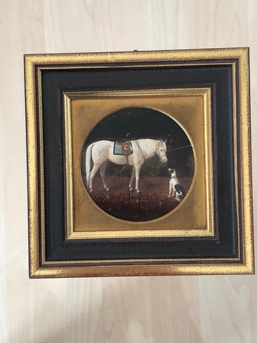 Pferd / Schimmel mit Hund. Miniaturmalerei, Ölgemälde um 1850/1900. Unsigniert.
