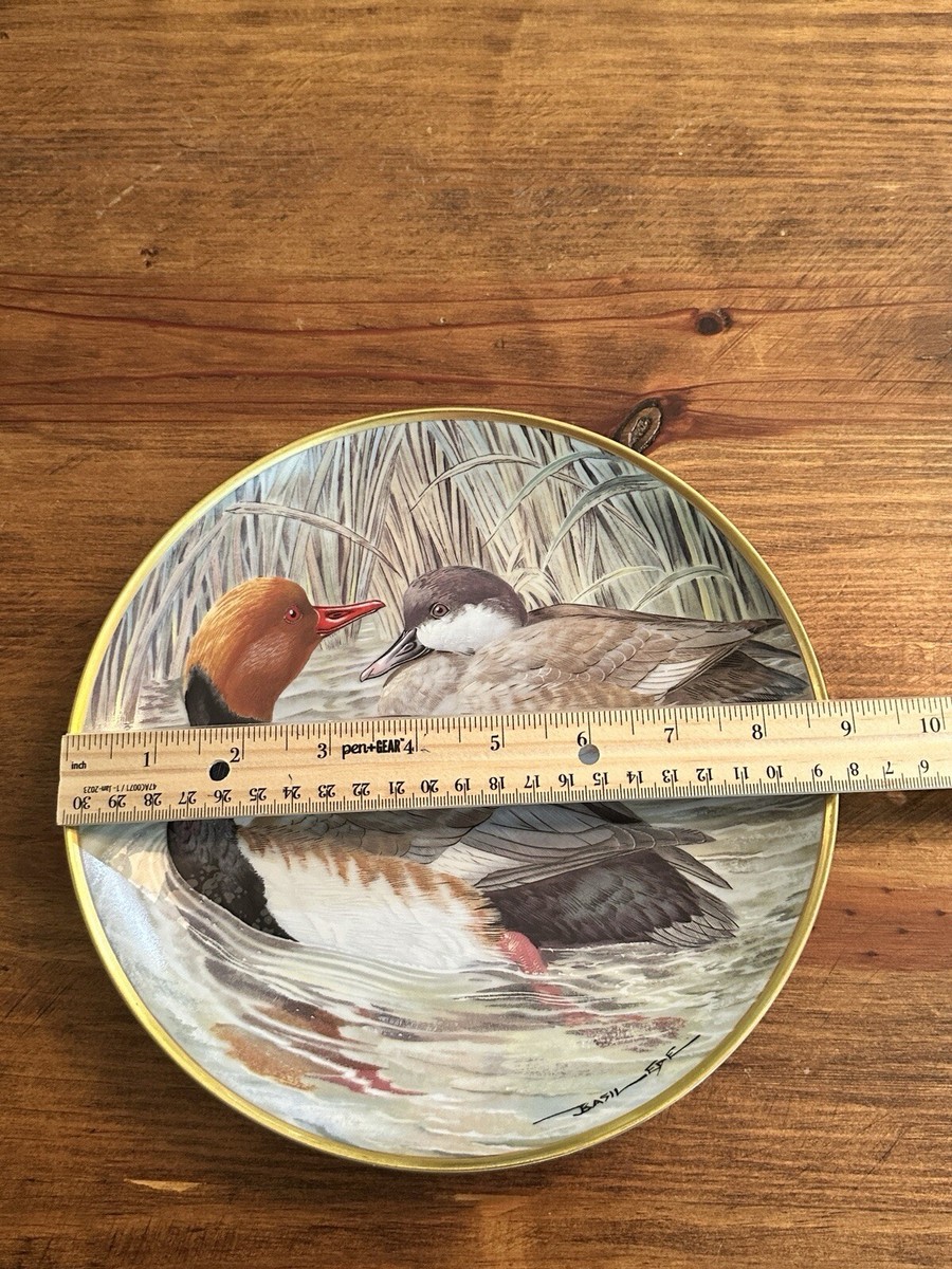 Vintage Water Birds of The World 1981 Franklin Porcelain 9