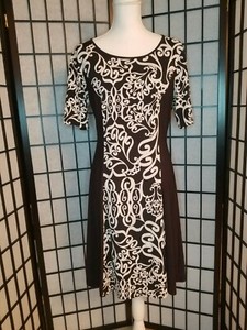 dress storage box