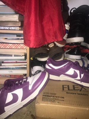 Size 10 - Nike SE Low dunk purple used (great condition)