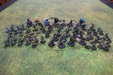 Warmachine Hordes Blindwater Congregation Pro Painted Large Army Lot