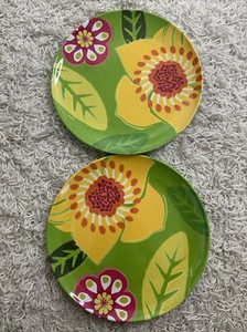 Crate & Barrel (2) Pair Plastic Plates Reusable Dishwasher Safe Indoor Outdoor