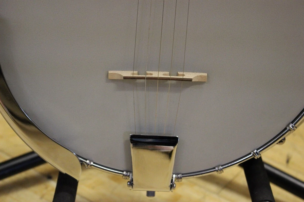 Johnson jb 100 banjo online