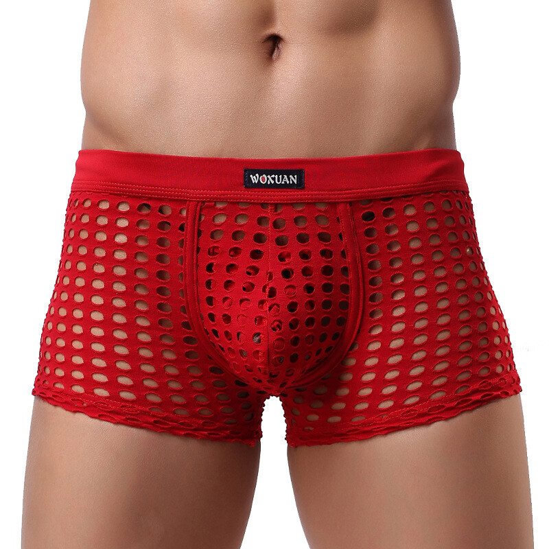 Men Sexy Mesh Underwear Boxer Briefs Shorts Underpants Breathable