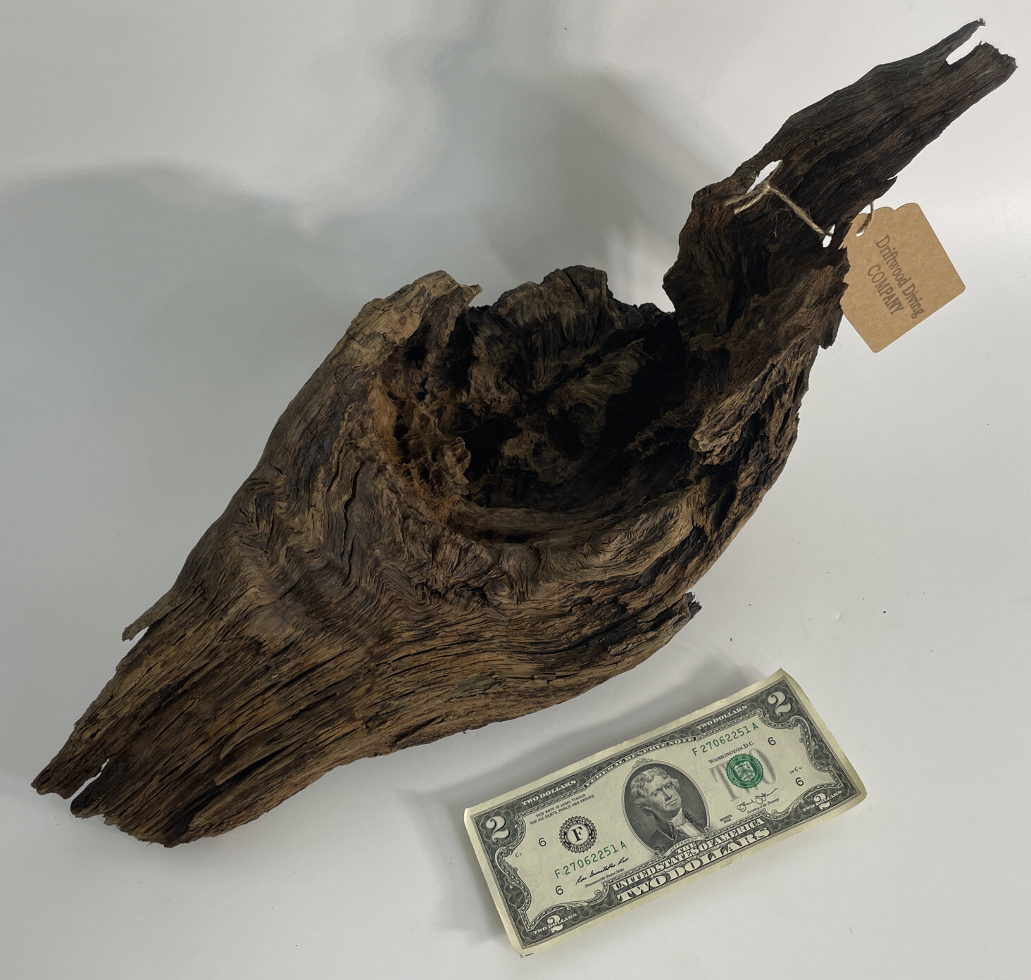 19x8x8” Cypress Driftwood Natural Aquarium Plant Art Taxidermy eBay