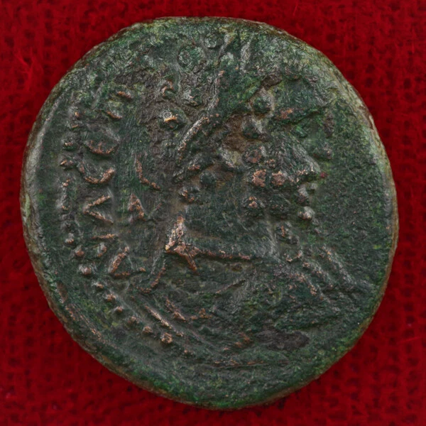 Moneda del Antiguo Imperio Romano SEPTIMIO SEVERO Cibeles Markianópolis, Casa de la Moneda de Moesia Foto 3 de 4