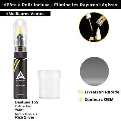 Peinture de retouche pour Bestune T55 Code: 6M Rich Silver - Photo 1/4