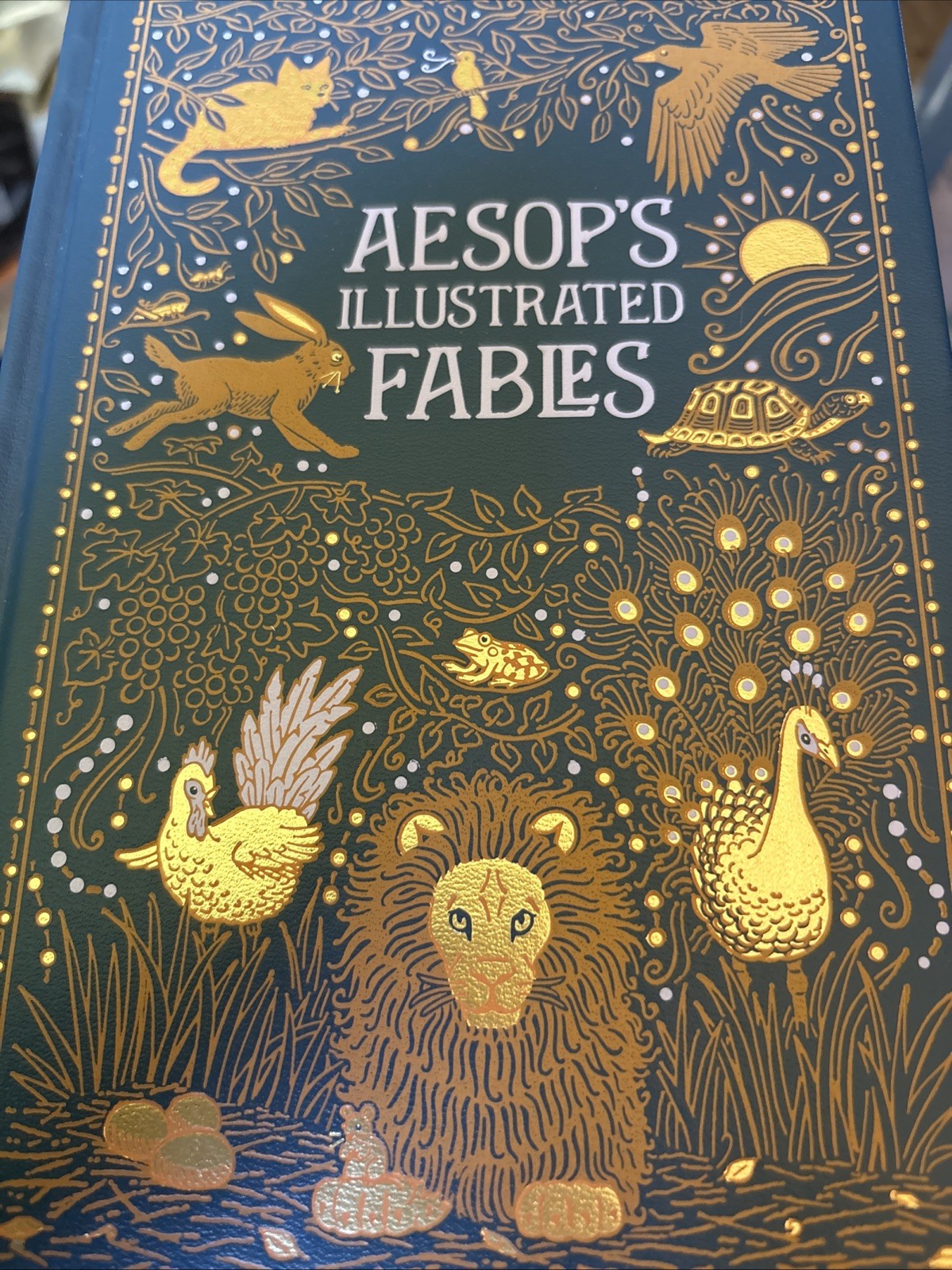Aesop's Illustrated Fables HARDCOVER Barnes & Noble Collectible Gold Gilt