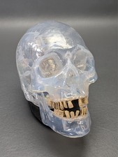 Calavera parlante animada transparente Gemmy Halloween con LED gemidos gritos