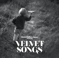 Various Artists - Velvet Songs - Vinyl Record - G3Z