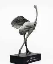 For EVOLABORATORY Ostrich Muscle Anatomy Struthio Camelus Realistic Decor Model