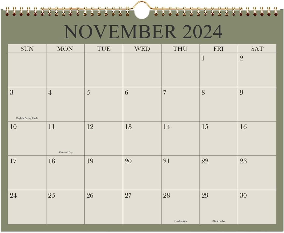 Calendar 2024-2025, Wall Calendar from November 2024 - June 2026, 20 Months Cale