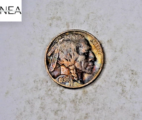 1936 Buffalo Nickel ~ Extra Fine XF/EF Rainbow Toned ~ ZB148