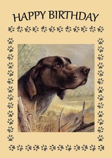 GERMAN SHORTHAIRED POINTER DOG BIRTHDAY CARD GREETING NOTE CARD