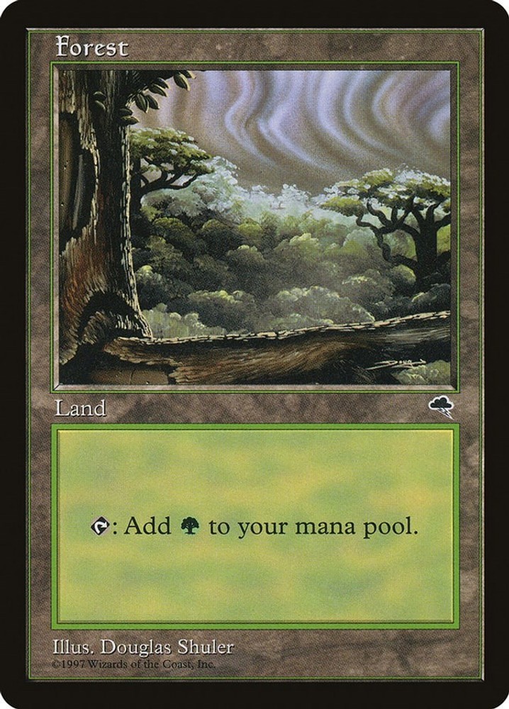 Forest (Cloudy) - TMP - 349 NM/LP