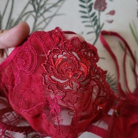$176 Lise Charmel Tellement Red Embroidered Lace Bra Small *No Size Tag*