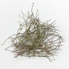 Set of 100 Hammer Butt Springs for Upright Piano Repair, 2" Length