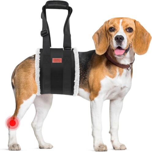 Adjustable Dog Lift Harness Sling for M Dogs Hind Leg Support Senior ACL Rehab
