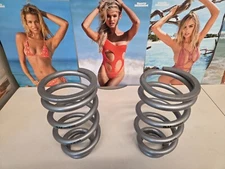 QA1 Precision Products 10HT450 2-1/2" I.D. High Travel Coil Spring, 10" pair