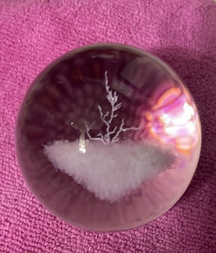 "Esfera de bola de cristal con árbol o planta diseñada con láser 2""" - Imagen 2 de 9
