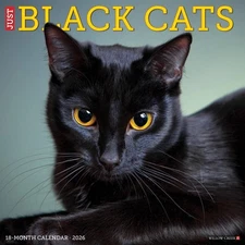Black Cats 2026 12" x 12" Wall Calendar (free shipping)
